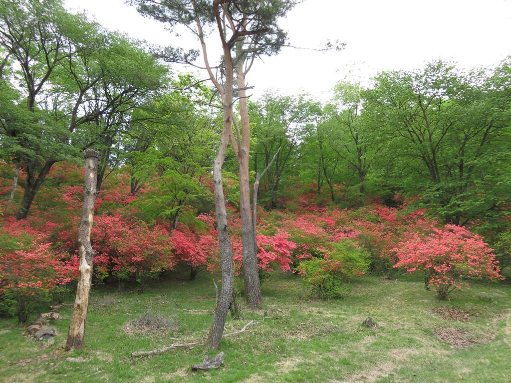 Nikko Pension L'Escale Exterior foto